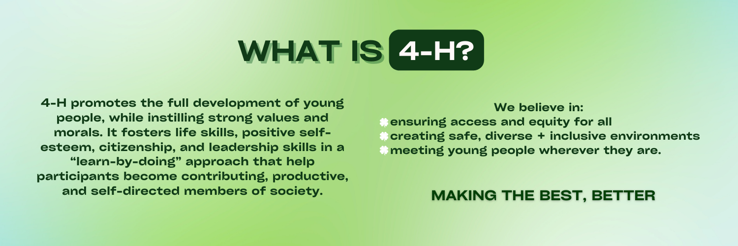 what is 4h