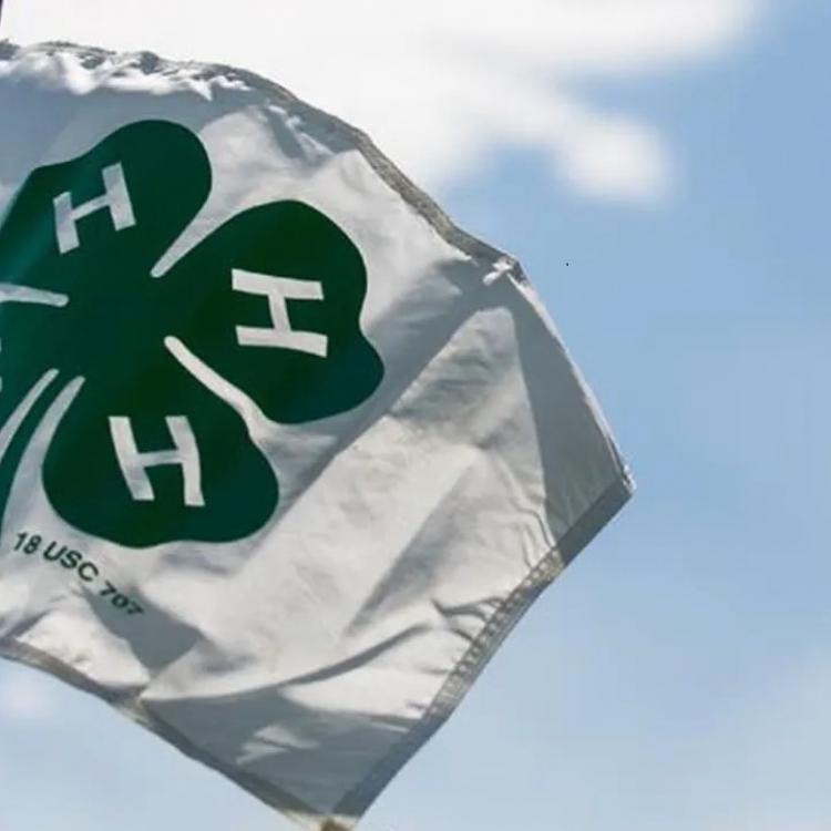  4-H Flag